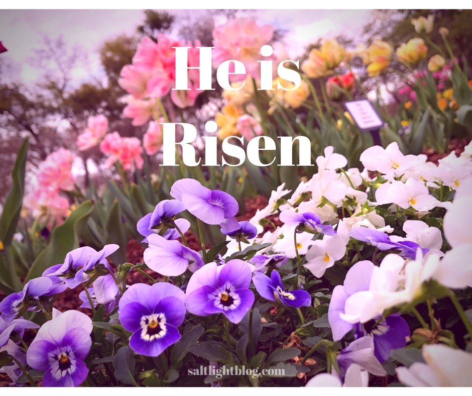 For Easter this photo shows Pansies and Tulips with He is Risen text
