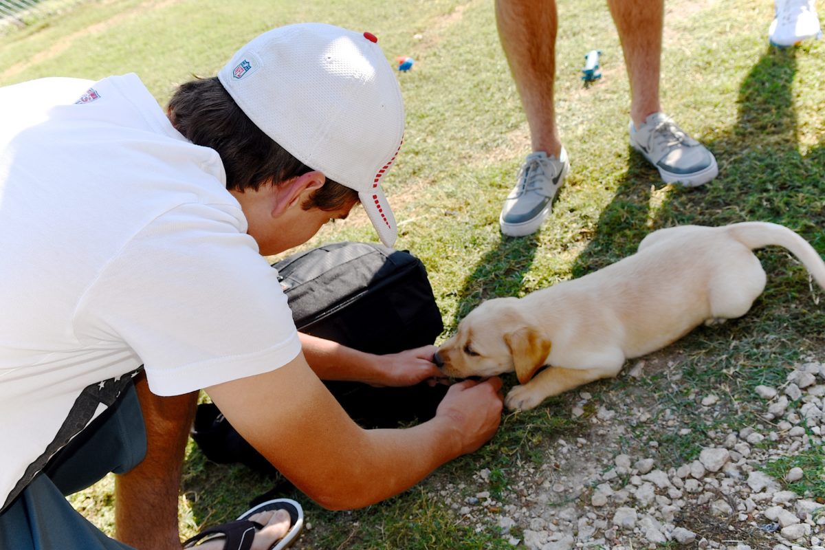 Selecting a precious Labrador Retriever Puppy at the kennel At the breeders Dylan checks out this cute Retriever puppy (we choose her)